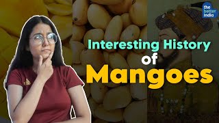 Indians Love towards Mangoes: 4000 Years of History || Aurangazeb,Babur, Allauddin Khilji image