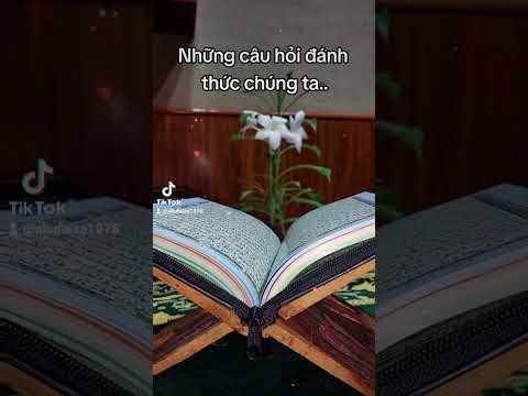 #246 NHỮNG CÂU HỎI ĐÁNH THỨC CHÚNG TA