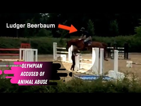 Animal Abuse Allegations For Ludger Beerbaum German Olympic Show Jumper & Helgstrand Partner