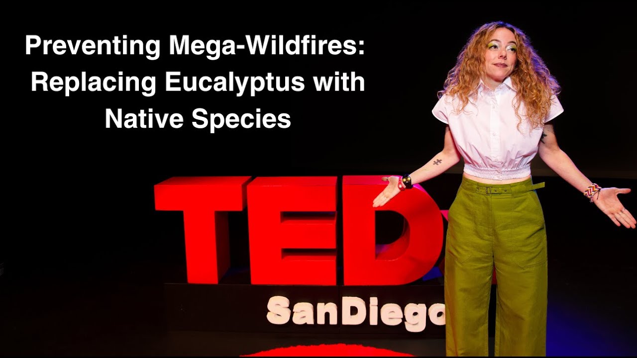 How to prevent the next mega-wildfire | Anne Middleton | TEDxSanDiegoWomen