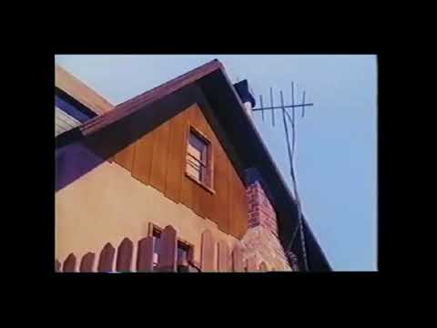 Animal Story Part 12