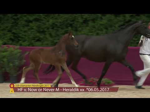 KN 57 Nightmanager Hf v. Now or Never - Heraldik