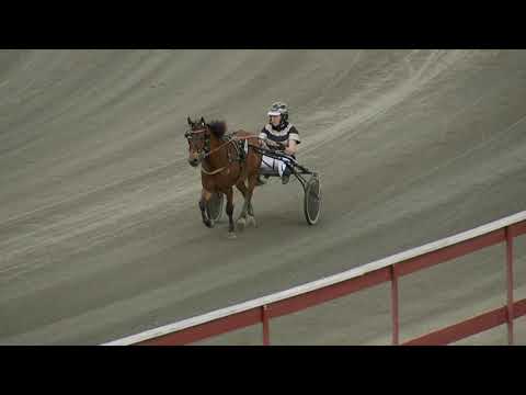 2020-07-19 Lopp 6, Ponnytrav