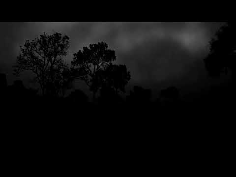 Natural Rain Sounds in Lush Jungle | 10 Hours Relaxing Forest Ambience for Better Sleep