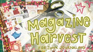 Magazine Harvest For Junk Journaling