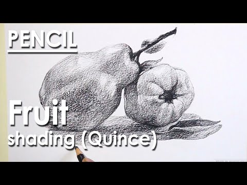 Mountains and Pine Tress Watercolor Pencil Landscape Drawing | steps to follow