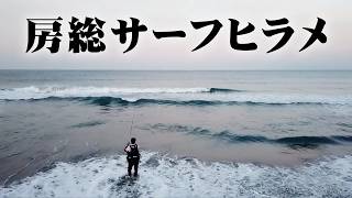 ヒラメの釣果写真