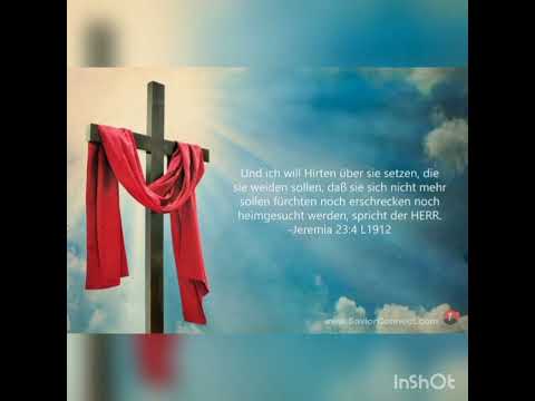 Silvano Steinbach - Naschedo