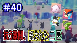 【実況】今を生きるポケモンに幸せを！全ての想いを託され切り開け未来！！【ポケモン不思議のダンジョンマグナゲートと∞迷宮】 Part40