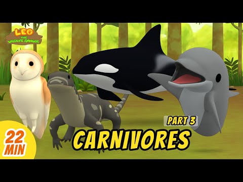 Carnivores Minisode Compilation (Part 3/6) - Leo the Wildlife Ranger | Animation | For Kids | Family