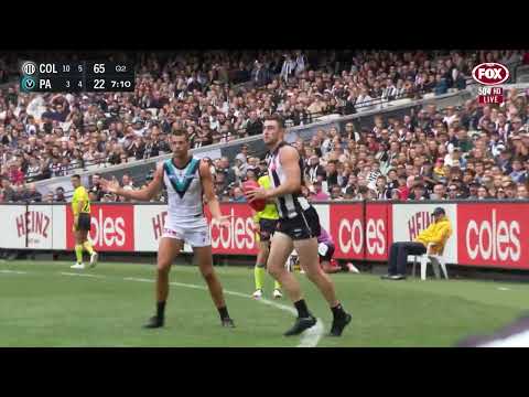 Pendles and Nick Daicos - The Master and The Apprentice