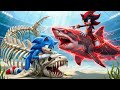 Sonic Wins The Magic Legendary Dolphin Racing Championship Epic Racing Challenge
