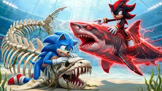 Download lagu 🐬Sonic Wins The Magic Legendary Dolphin Racing Championship – Epic Racing Challenge mp3 Download lagu 🐬Sonic Wins The Magic Legendary Dolphin Racing Championship – Epic Racing Challenge mp3