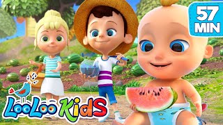 Down By the bay - THE BEST Songs for Children | LooLoo Kids Down By the bay - THE BEST Songs for Children | LooLoo Kids