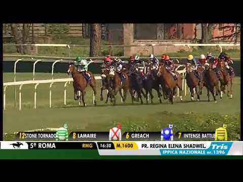 2019.04.28 Premio Regina Elena (Italian 1000 Guineas) - Fullness of Life