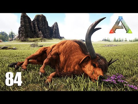 DOMANDO O GRANDE TOURO BRABO - ARK Ragnarok - Ep 84