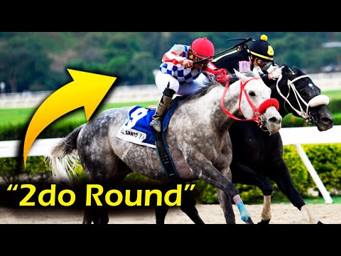 The 5 Best Races of EL DE FROIX - The Third Duel against SANTO in the 2023 Confraternidad