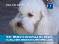 FIESTA DEDICADA A LAS MASCOTAS DE CAPILLA DEL MONTE