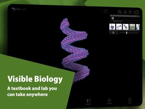 Visible Biology Video