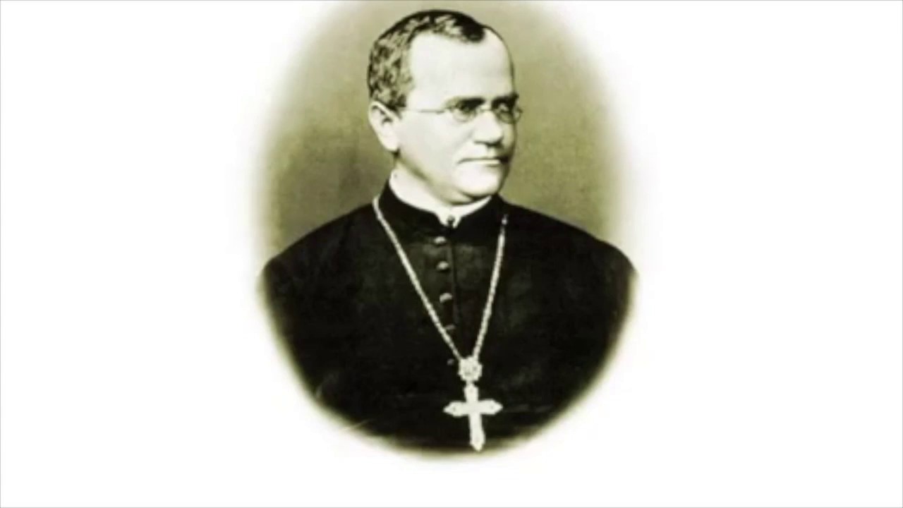 Mendelian randomization: where did it come from and where is it going?