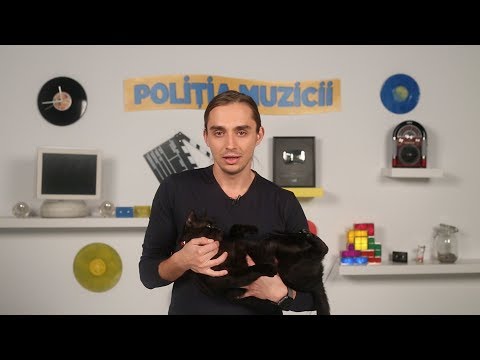 Politia Muzicii: AMNA & DORIAN Popa, ANDRA & Freestay, SMILEY - Ce ma fac cu tine de azi