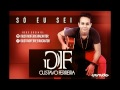 Gustavo Ferreira - Só eu sei