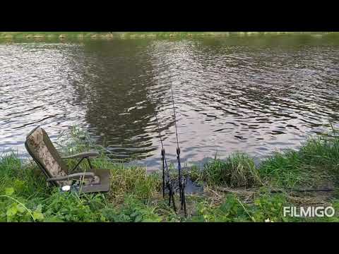Řeka Odra a krásné Parmy - KM fishing