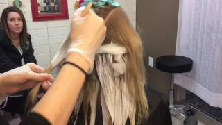 Free Hair Painting || Hair Tutorial