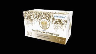 Flammulina velutipes forte ᐉ 70% экстракт гриба Эноки