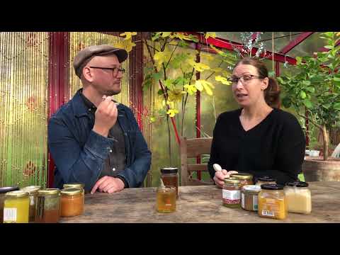 Honungsprovarna smakar akaciahonung och pratar om flytande honung.