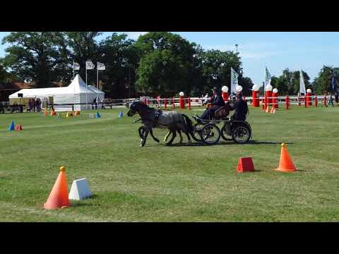 Fahrturnier Ostenfelde 14.8.2021