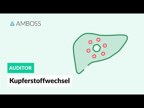 Kupferstoffwechsel - Welche Funktion hat das Wilson-Protein? - AMBOSS Auditor