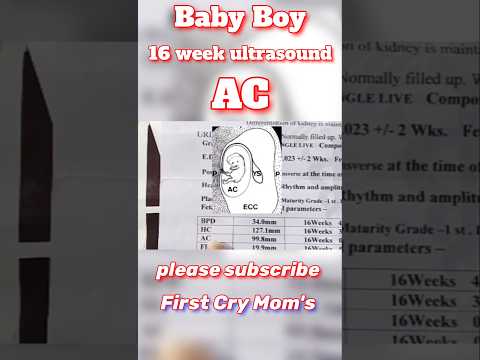 what is AC in pregnancy ultrasound report#pregnancy #ultrasound #hc #anomaly #scan #shorts #bpd #fl