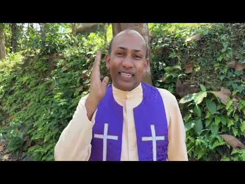 2644. എന്തൊരു ഭയാനകമാണത് ! (Sir 34,24) | Fr.Binoy Karimaruthinkal PDM