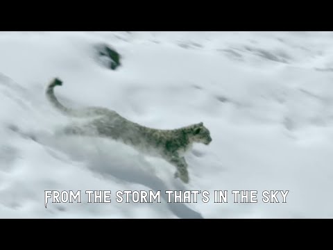 Countless Skies - Summit (Lyric Video)