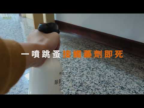 【除蚤噴霧】噴兩次！殺滅8成以上跳蚤！#跳蚤 #清潔 #打掃 #推薦 #除蟲 #大掃除