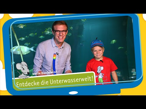 Hallo Benjamin! - Sealife Speyer: Entdeckungstour unter Wasser