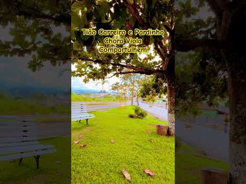 Tião Carreiro e Pardinho.                        Chora Viola.