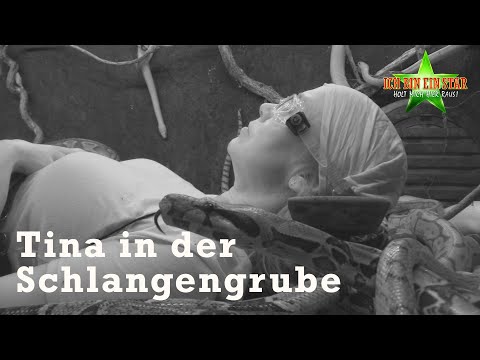 Dschungelprüfung: Keine Ahnung unter dieser Nummer – Tina brilliert ⭐ | #8 | Dschungelcamp 2022