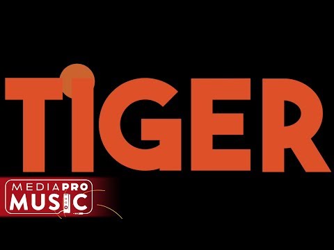 SPADA VS PREZIOSO - Tiger (Official Lyric Video)