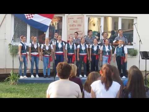 Djeca ljubavi cover - ŽVS Ane feat. TS Cuvari