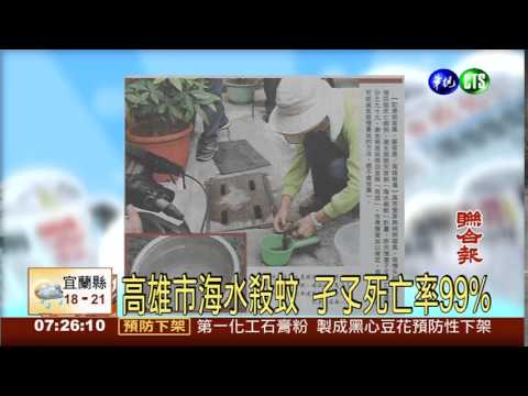 高雄市海水殺蚊 孑孓死亡率99%