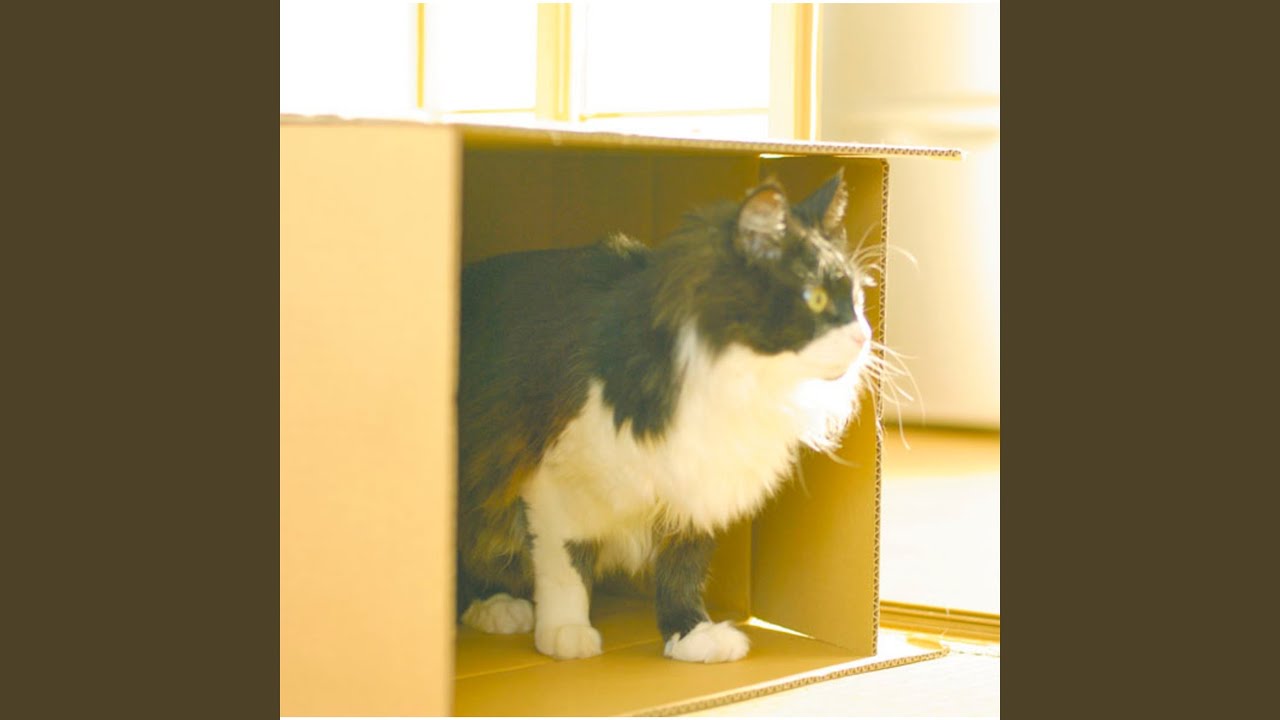 Danbooru Ni Kakomarete