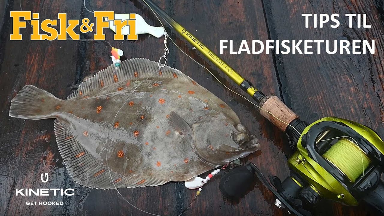 NY VIDEO: TIPS TIL FLADFISKETUREN