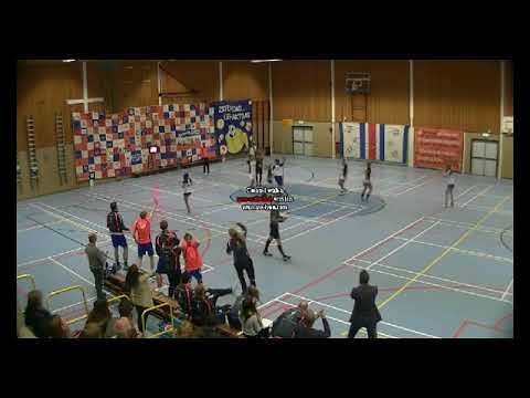 Meervogels - ZKV za. 02-12-17 verdedigd... huh ???