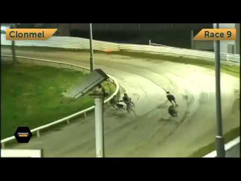Clogheen Lass - Buy & Sell Greyhound Trader Com Bitch Stake Semi Final