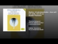 Mahler: Kindertotenlieder - Nun seh' ich wohl ...