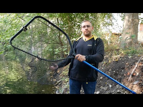 Produkte kennenlernen und gewinnen: SEIKA PRO RAUBFISCHKESCHER