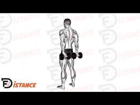 Exercice Curl des doigts avec haltères derrière le dos