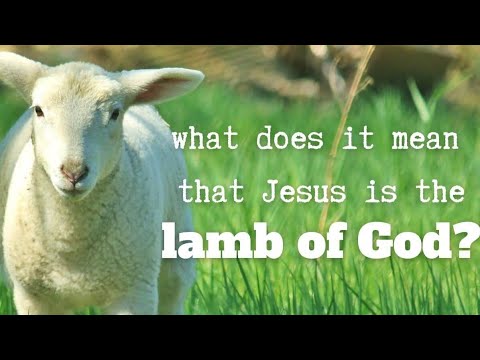 CATHOLIC MEDITATION: Saturday - 3 January, 2026. (CHRISTMAS SEASON: before the Epiphany of the Lord)